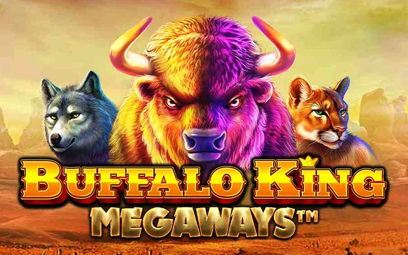 Play Buffalo King Megaways and enjoy big wins at DBBet.